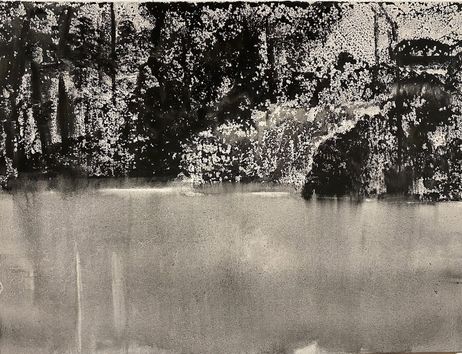 Uferlandschaft in schwarz/weiss