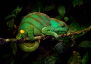 ENJ 2023, Petr Bambousek