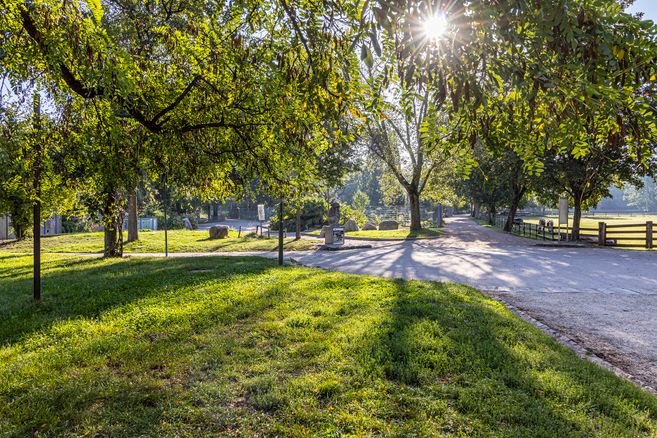 Gelände des Mundenhofs im Sommer mit Wegen und Bäumen 