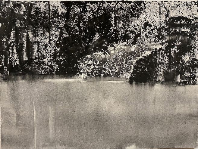 Uferlandschaft in schwarz/weiss