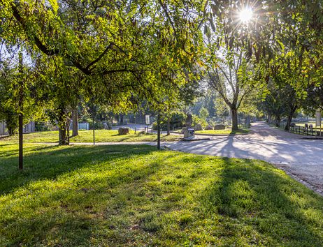 Gelände des Mundenhofs im Sommer mit Wegen und Bäumen 