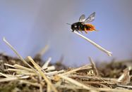 ENJ 2023, Solvin Zankl